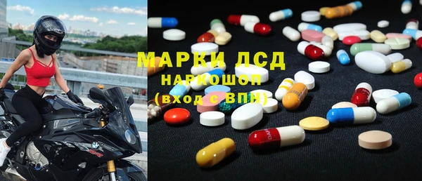 твердый Богданович