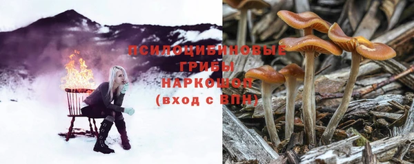 jwh Белокуриха
