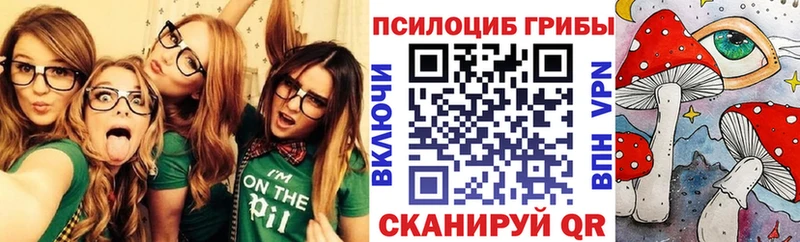 Псилоцибиновые грибы Psilocybe  цены   Моршанск 